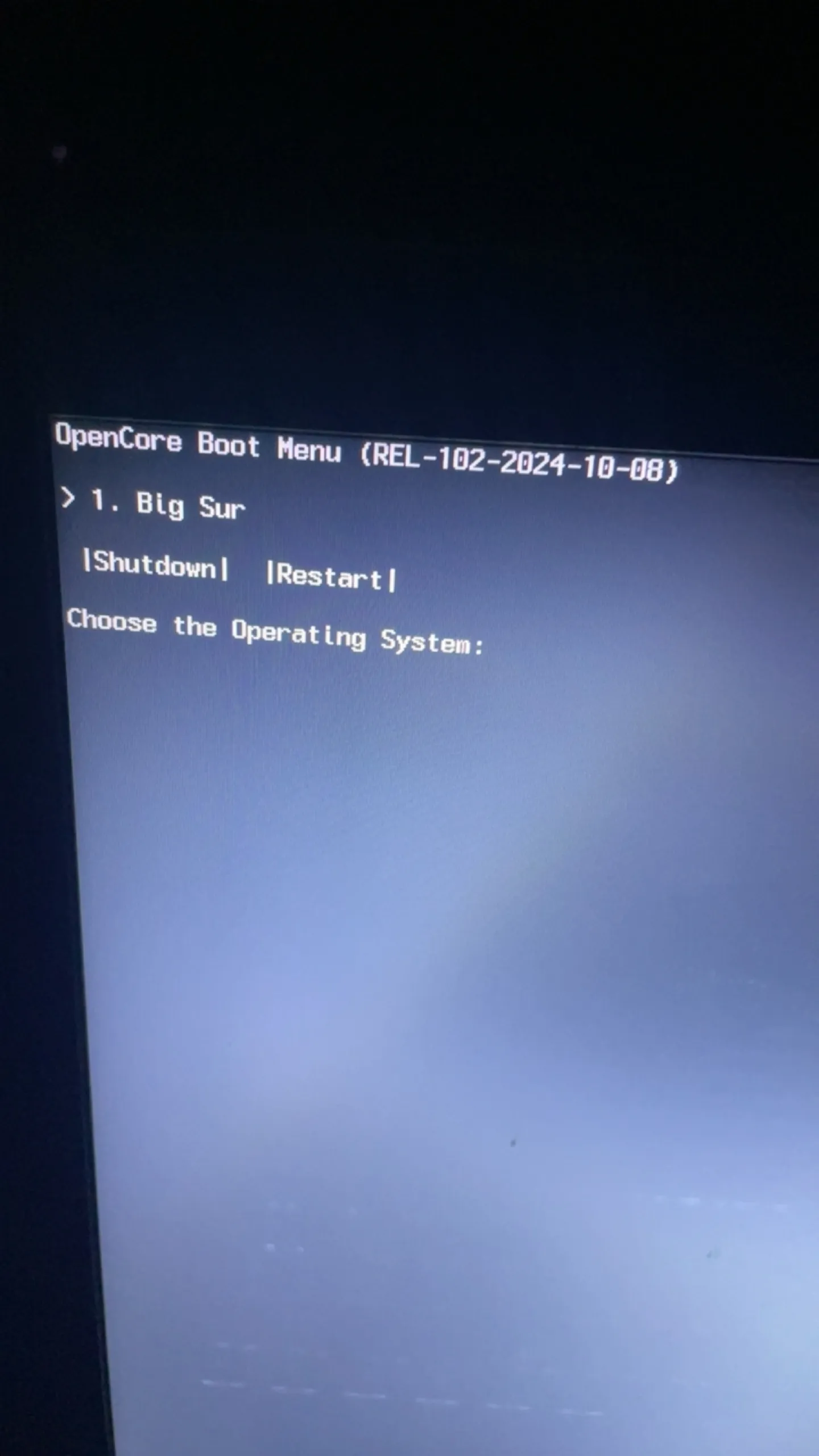 Dell Inspiron 7537(i5-4200U)黑苹果安装EFI OC 1.0.2 BigSur 11.7.10 Dell Inspiron 7537(i5-4200U)黑苹果安装EFI OC 1.0.2 BigSur 11.7.10