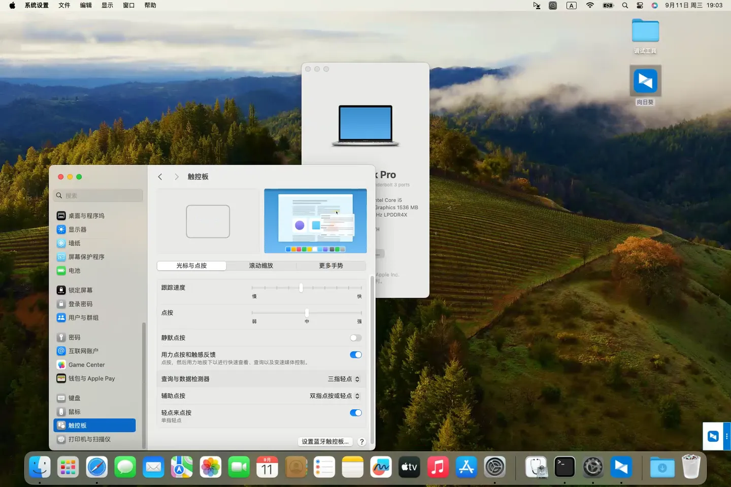 Surface Pro 7 (i5-1035G4)黑苹果安装EFI OC 1.0.1 Sonoma 14.6 Surface Pro 7 (i5-1035G4)黑苹果安装EFI OC 1.0.1 Sonoma 14.6